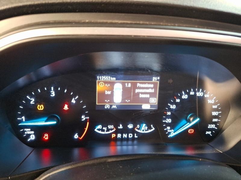 FORD FOCUS WAGON 1.5 Ecoblue 120cv Business Co-Pilot Auto