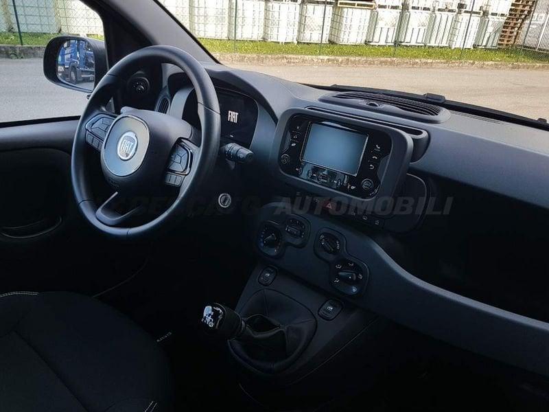 FIAT Panda Panda 1.0 70cv Hybrid Icon