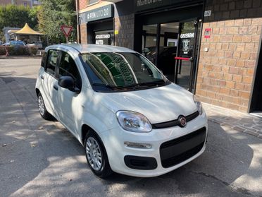 Fiat Panda 1.0 FireFly S&S Hybrid Icon