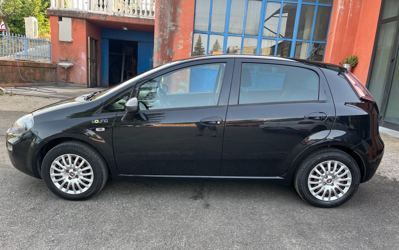 Fiat Punto 1.2 8V 5 Porte Young-soloKm 35000-