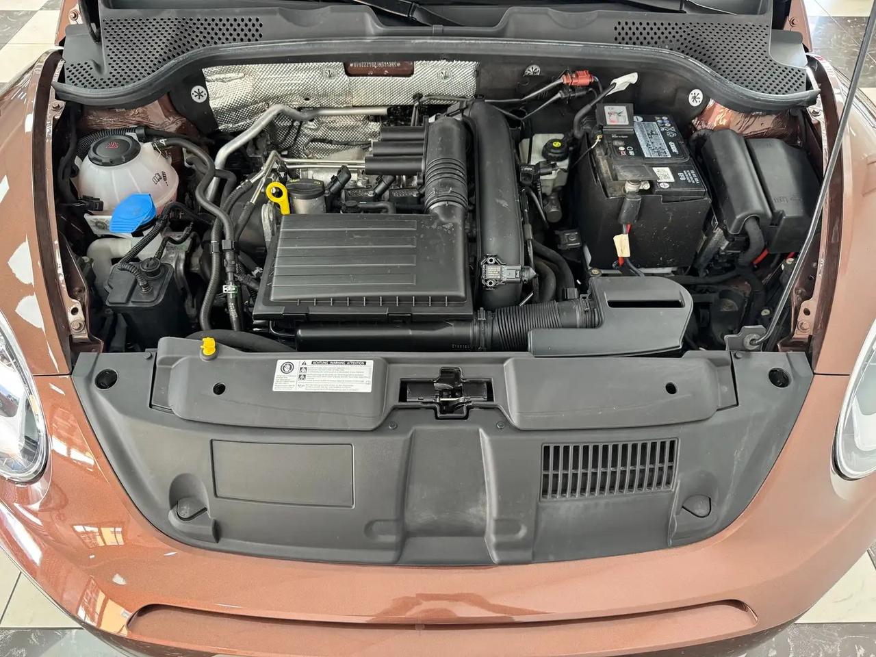 Volkswagen Maggiolino Cabrio 1.2 TSI Design BlueMotion Technology Dune