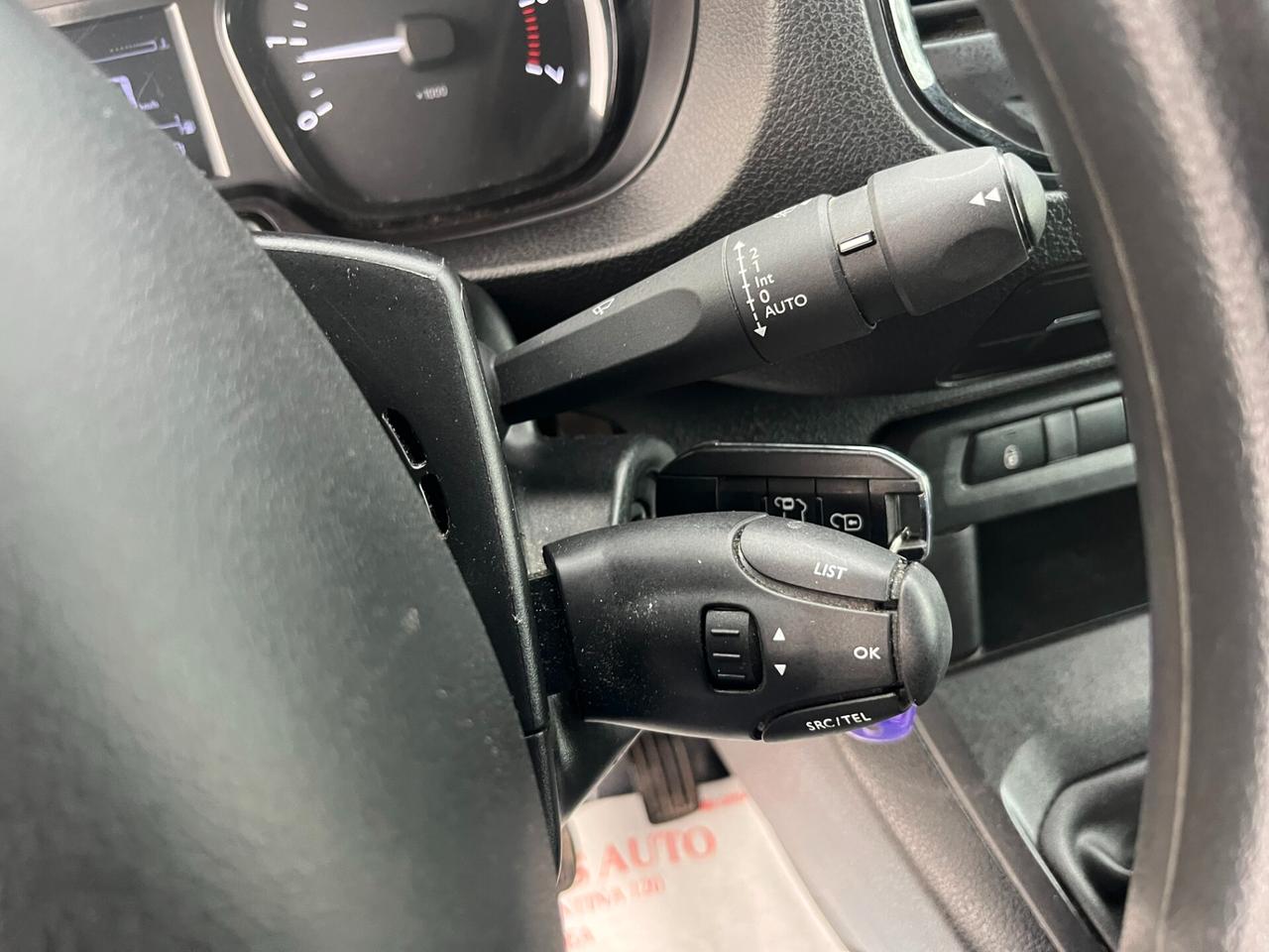 Peugeot Expert BlueHDi 100 S&S PL-SL-TN Furgone Premium Long