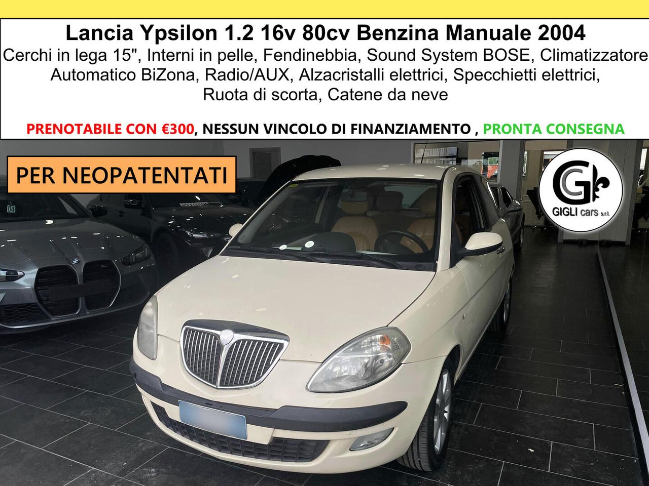 Lancia Ypsilon Ypsilon 1.2 16v C.15" Neopatentati Pelle Manuale