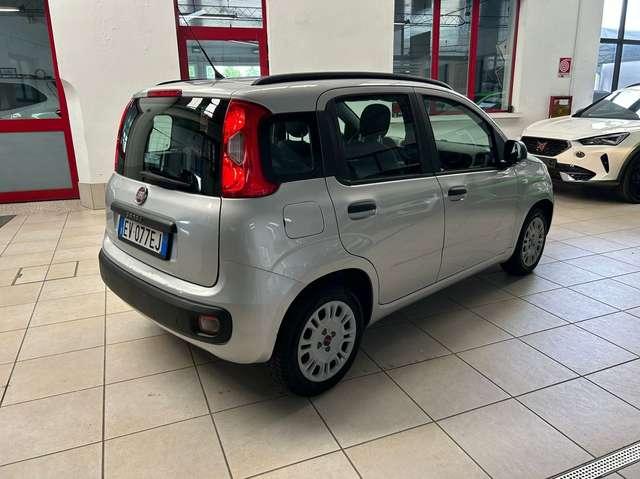 Fiat Panda Panda 1.2 69cv NEOPATENTATI - EURO 6 - CINGHIA OK