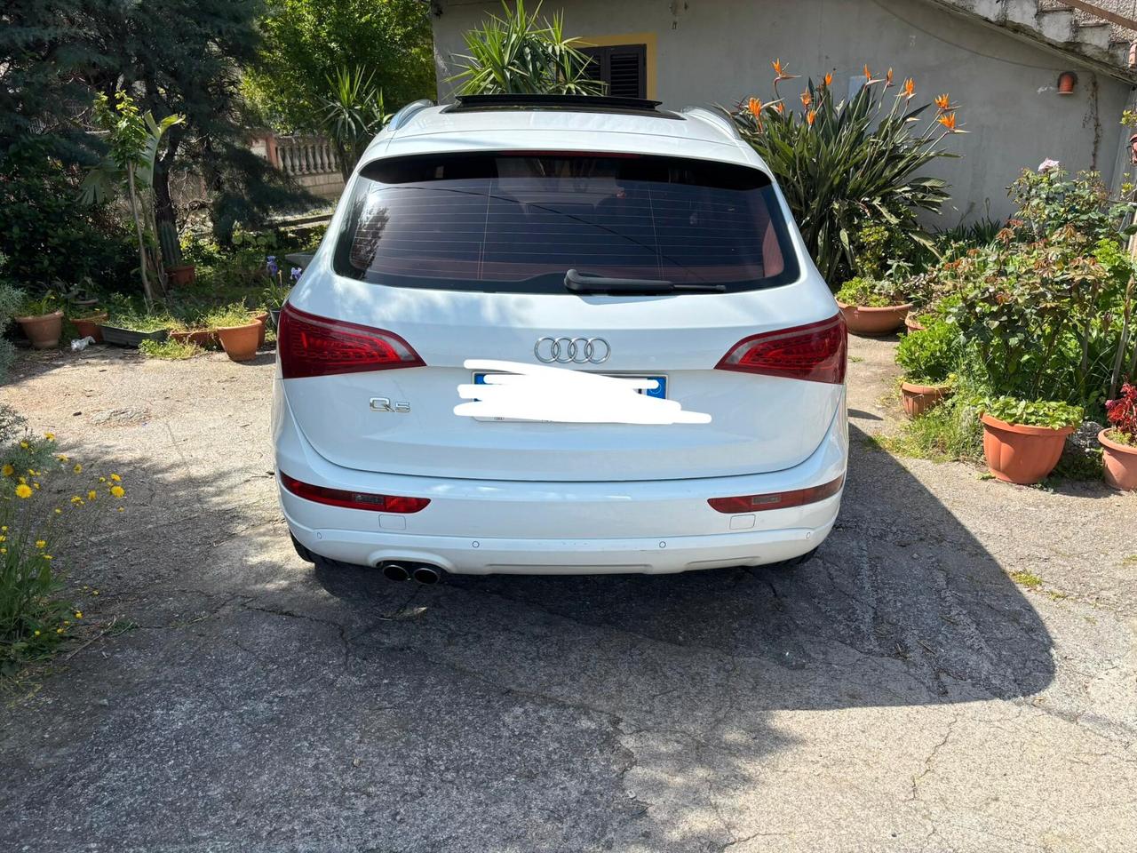Audi Q5 2.0 TDI 143 CV quattro Advanced Plus tetto