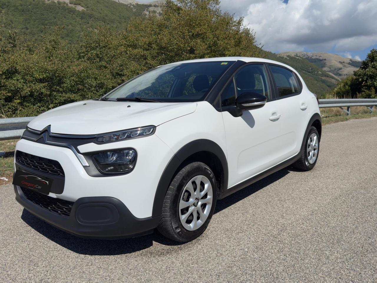 Citroen C3 BlueHDi 100 S&S Business Combi n1
