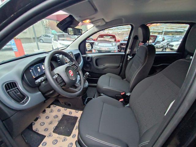FIAT Panda 1.0 FireFly S&S Hybrid Icon