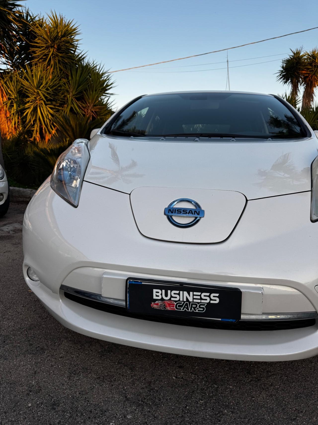 Nissan Leaf Elettrico Sincrono Trifase