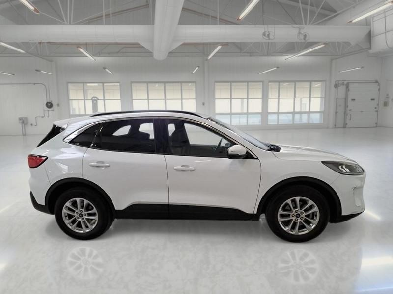 FORD KUGA 1.5 EcoBlue 120CV 2WD Titanium Business Auto
