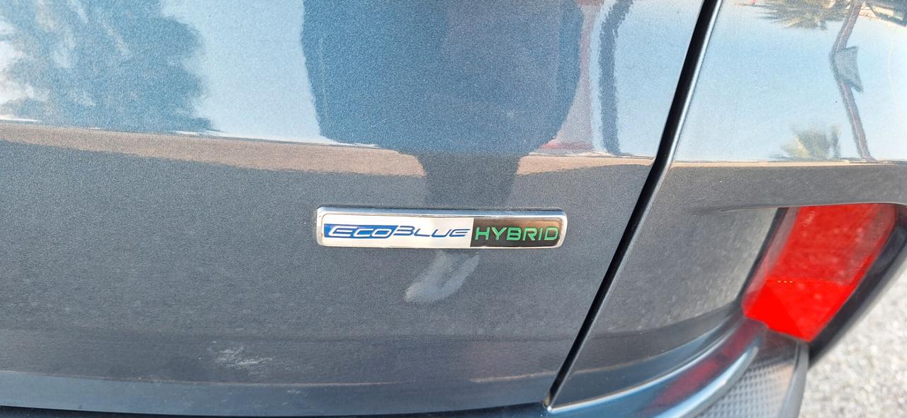 Ford Kuga 2.0 EcoBlue Hybrid 150 CV Titanium C.MANUALE