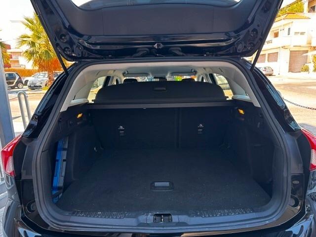 Ford Focus 1.5 EcoBlue 120 CV automatico SW Business Co-Pilot