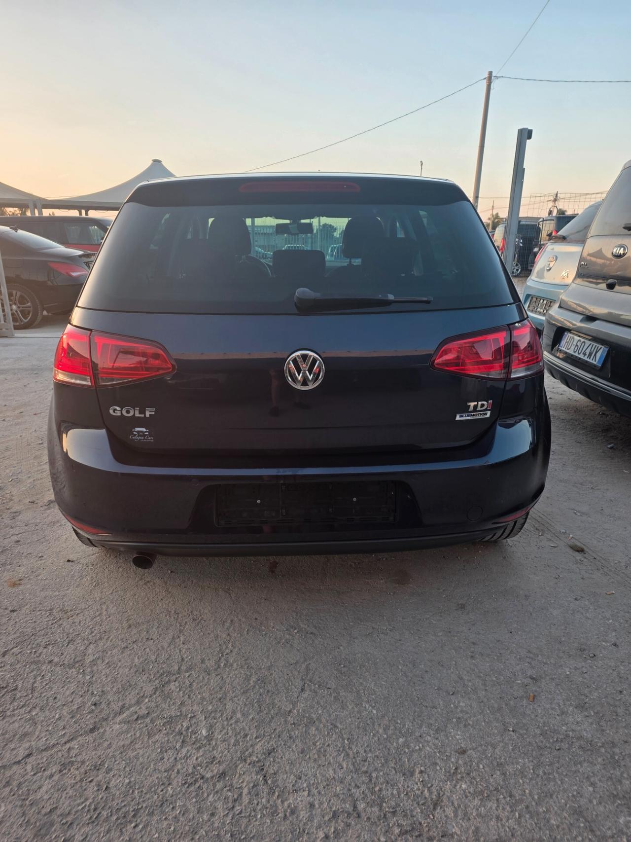 Volkswagen Golf 1.6 TDI 110 CV 5p. Comfortline BlueMotion