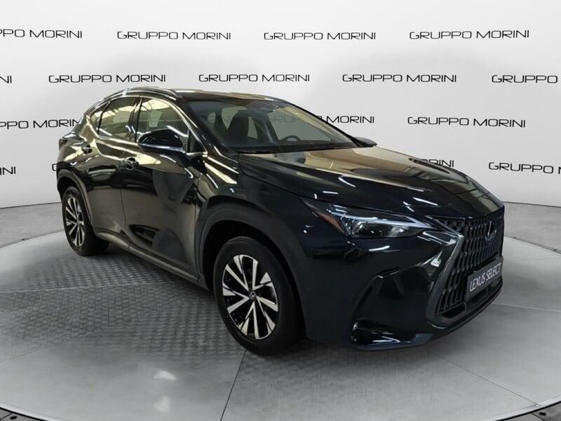 Lexus NX Hybrid Business 4WD