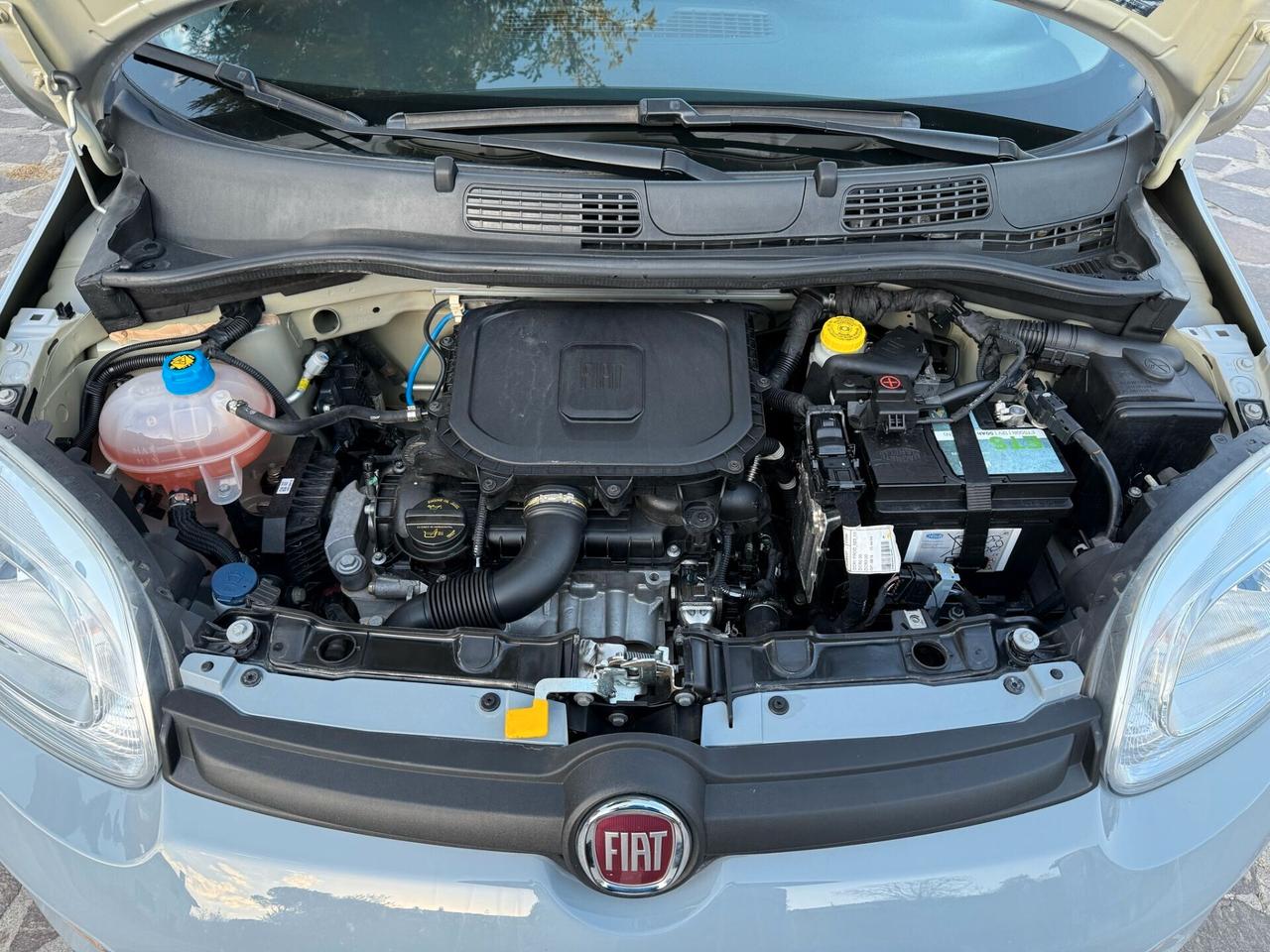 Fiat Panda 1000 Hybrid 70cv 2022