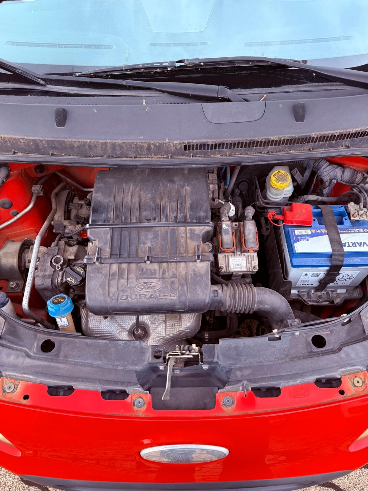 Ford Ka 1.2 8V 69CV 12 MESI DI GARANZIA