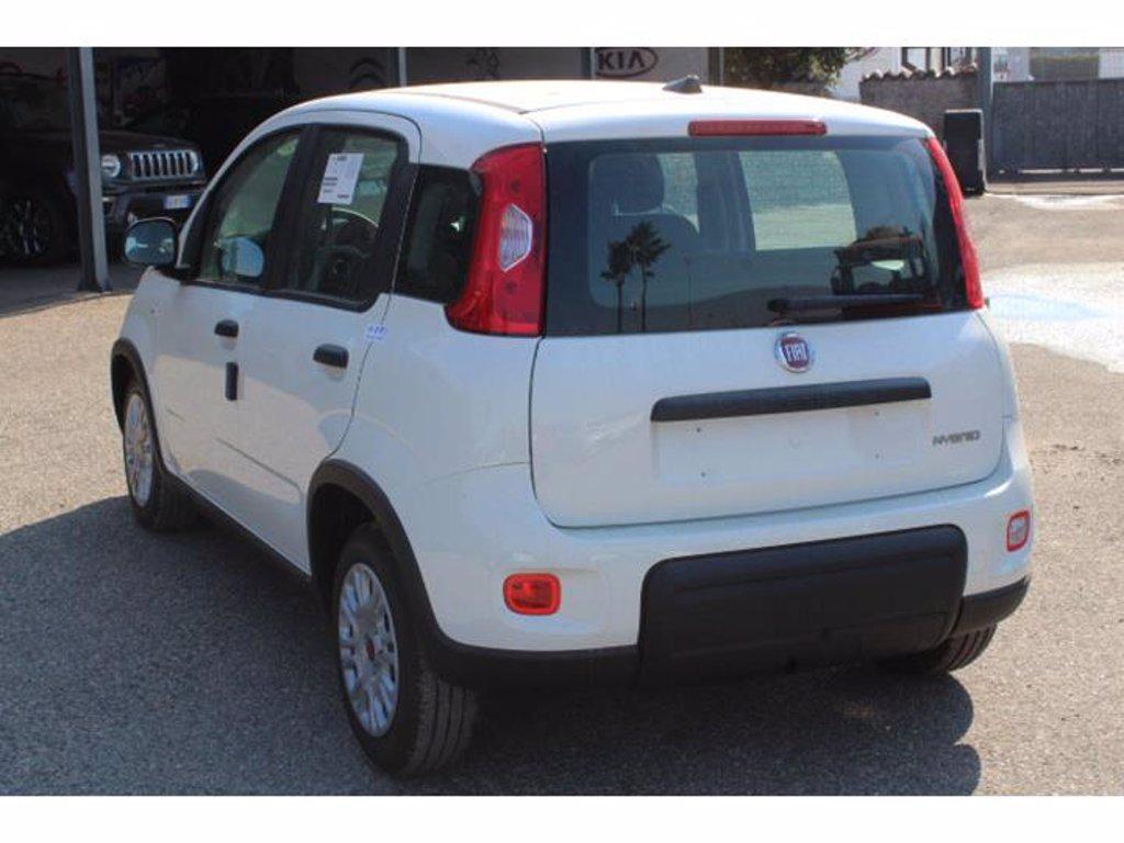 FIAT Panda 1.0 firefly hybrid s&s 70cv del 2023