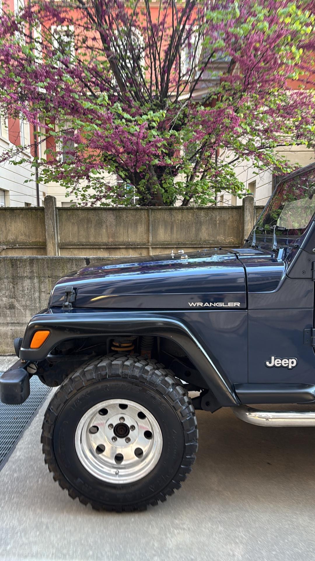 Jeep Wrangler 2.5 cat Soft top (EU)