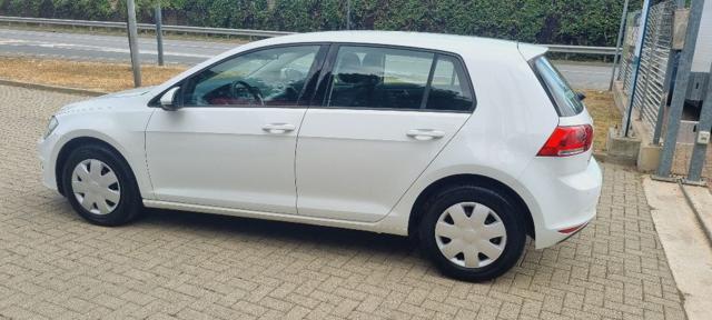 VOLKSWAGEN Golf 1.6 TDI 90 CV 5p. Business Trendline BlueMotion Te