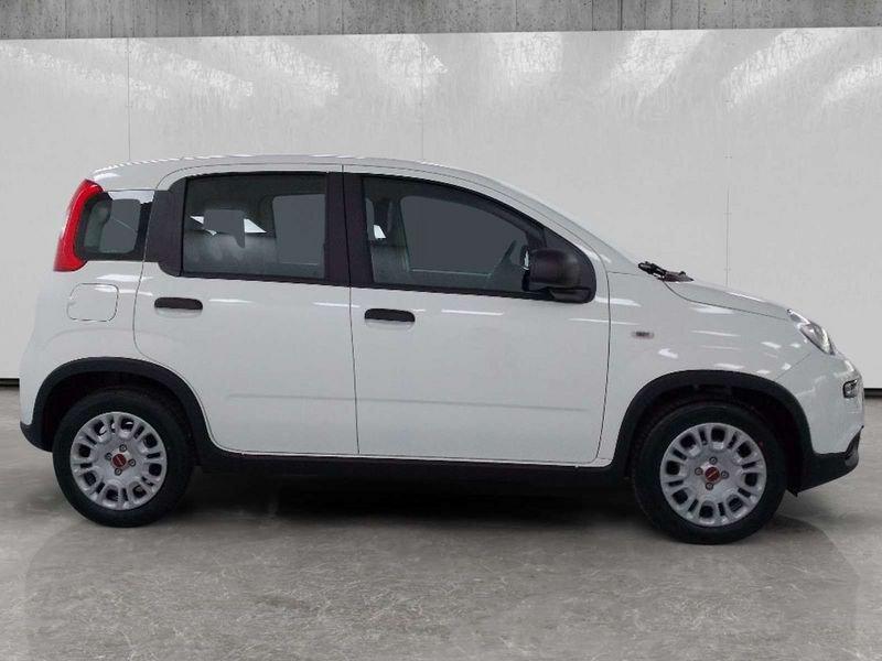 FIAT Panda 1.0 firefly hybrid s&s 70cv 5p.ti