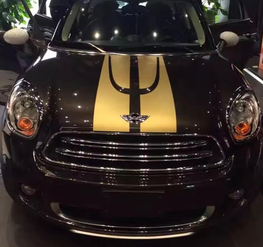 Mini Cooper Countryman Mini 1.6 Cooper D Countryman