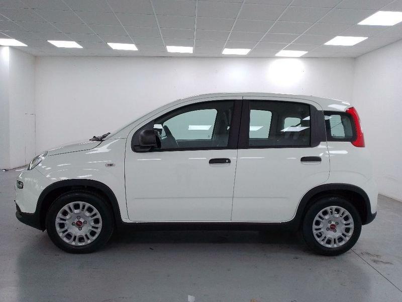 FIAT Panda 1.0 firefly hybrid s&s 70cv 5p.ti