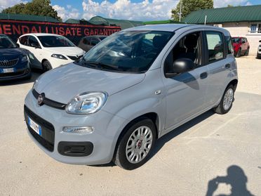 Fiat Panda 1.0 FireFly S&S Hybrid - Unico proprietario - 36.612 KM