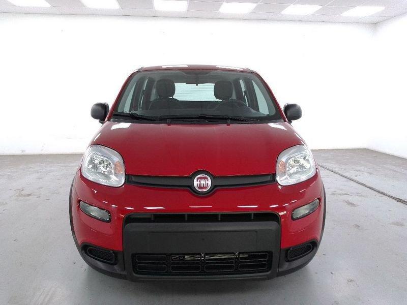 FIAT Panda 1.0 firefly hybrid s&s 70cv