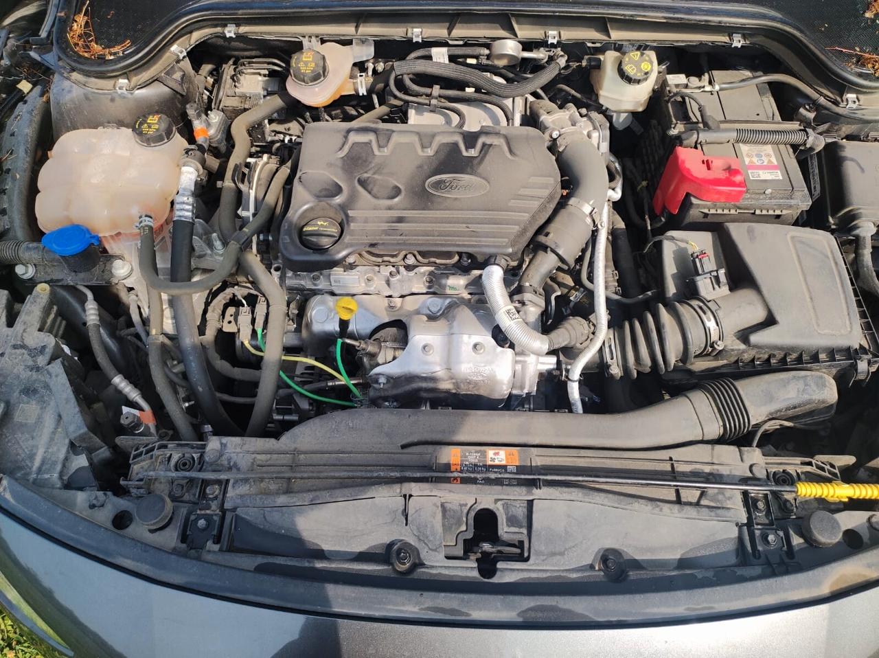 Ford Focus 1.5 EcoBlue 120 CV automatico 5p. ST-Line
