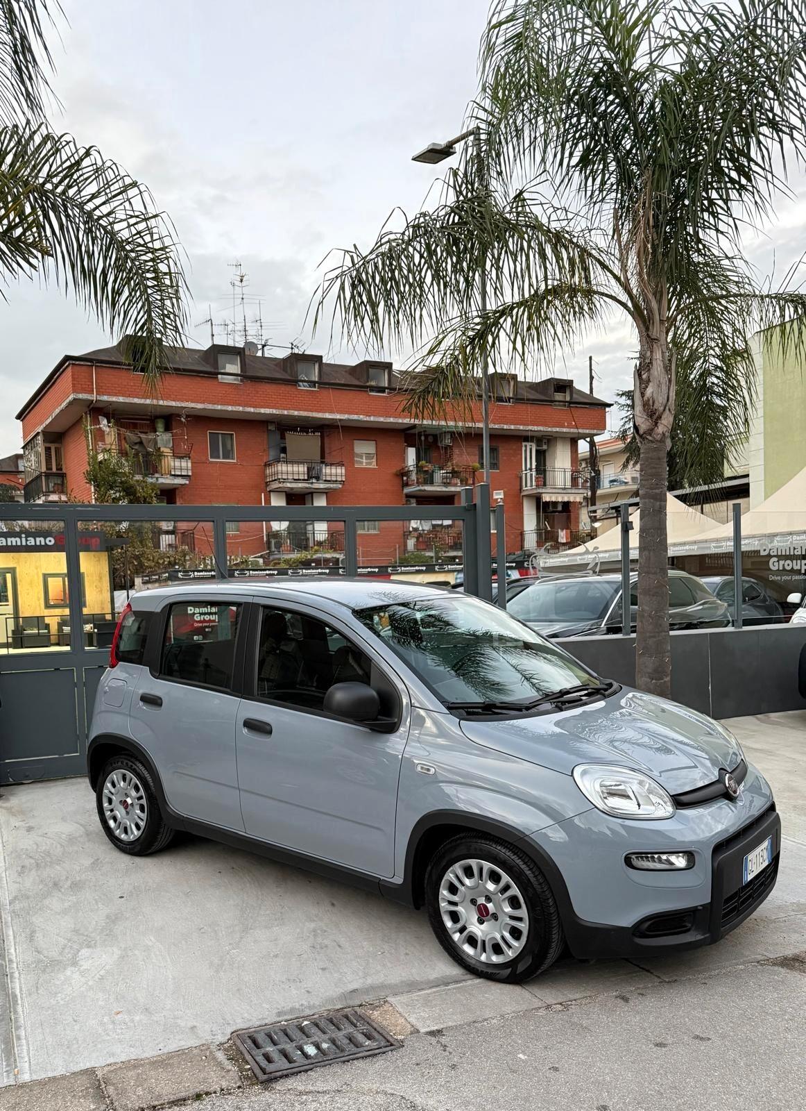 Fiat Panda Hybrid City Life