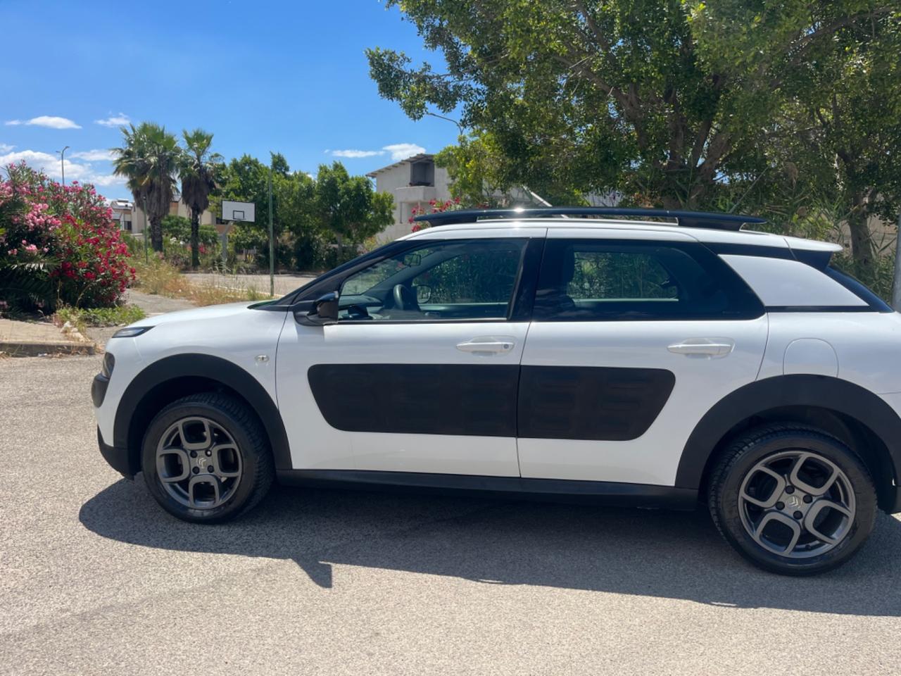 Citroen C4 Cactus BlueHDi 100 Shine