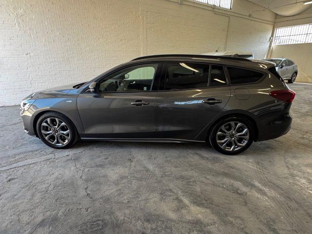 FORD Focus 1.5 EcoBlue 115 CV automatico SW ST-Line