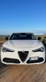 Alfa Romeo Stelvio 2.2 Turbodiesel 160 CV AT8 RWD Business