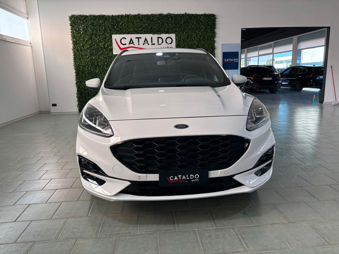 Ford Kuga 1.5 EcoBlue 120 CV 2WD ST-Line