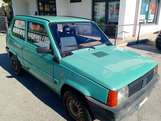 FIAT Panda 1ª serie 1100 i.e. cat Young