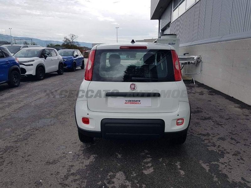 FIAT Panda Panda 1.0 70cv Hybrid Panda