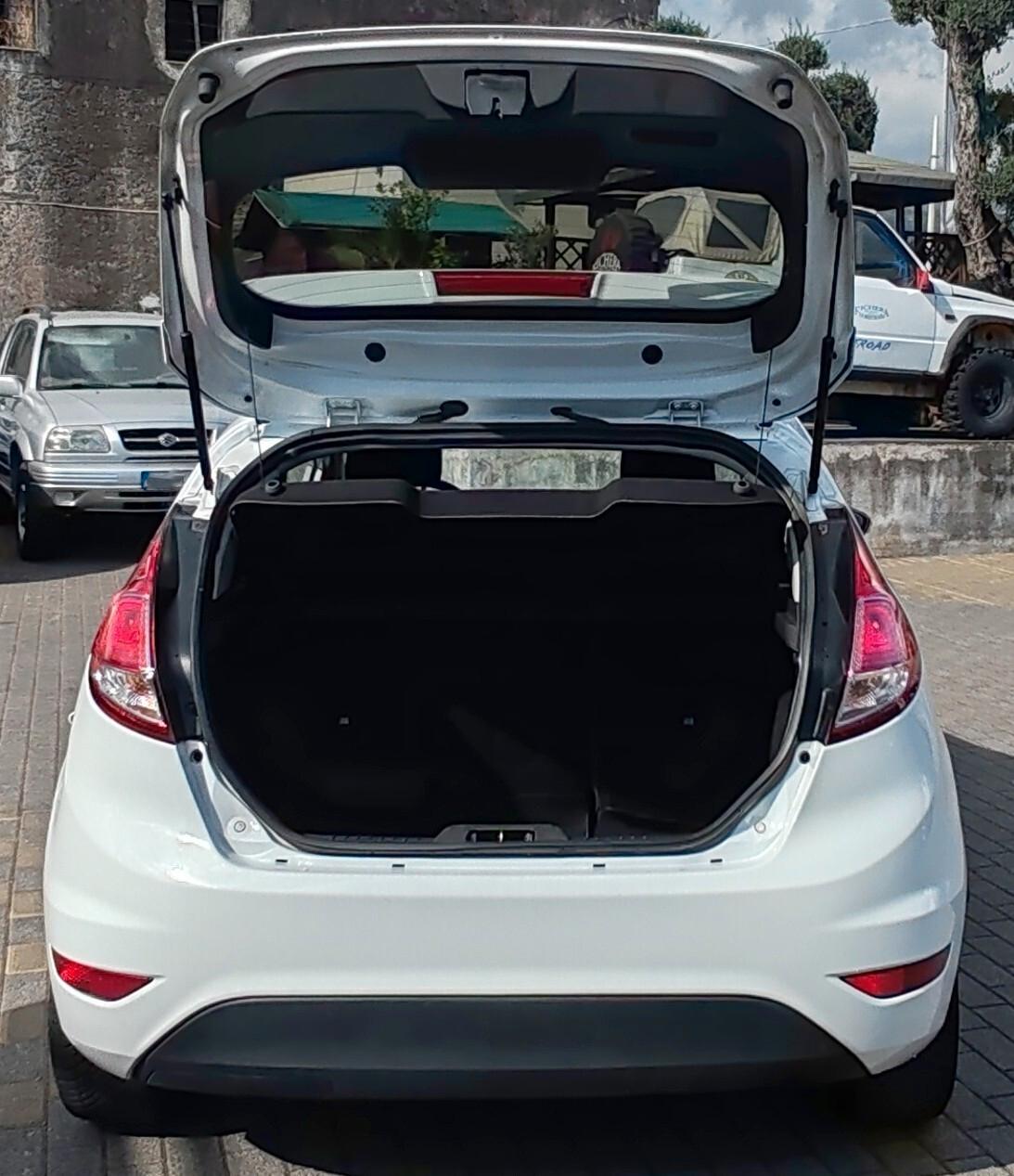 Ford Fiesta 1.6 TDCi 95CV 3 porte Individual