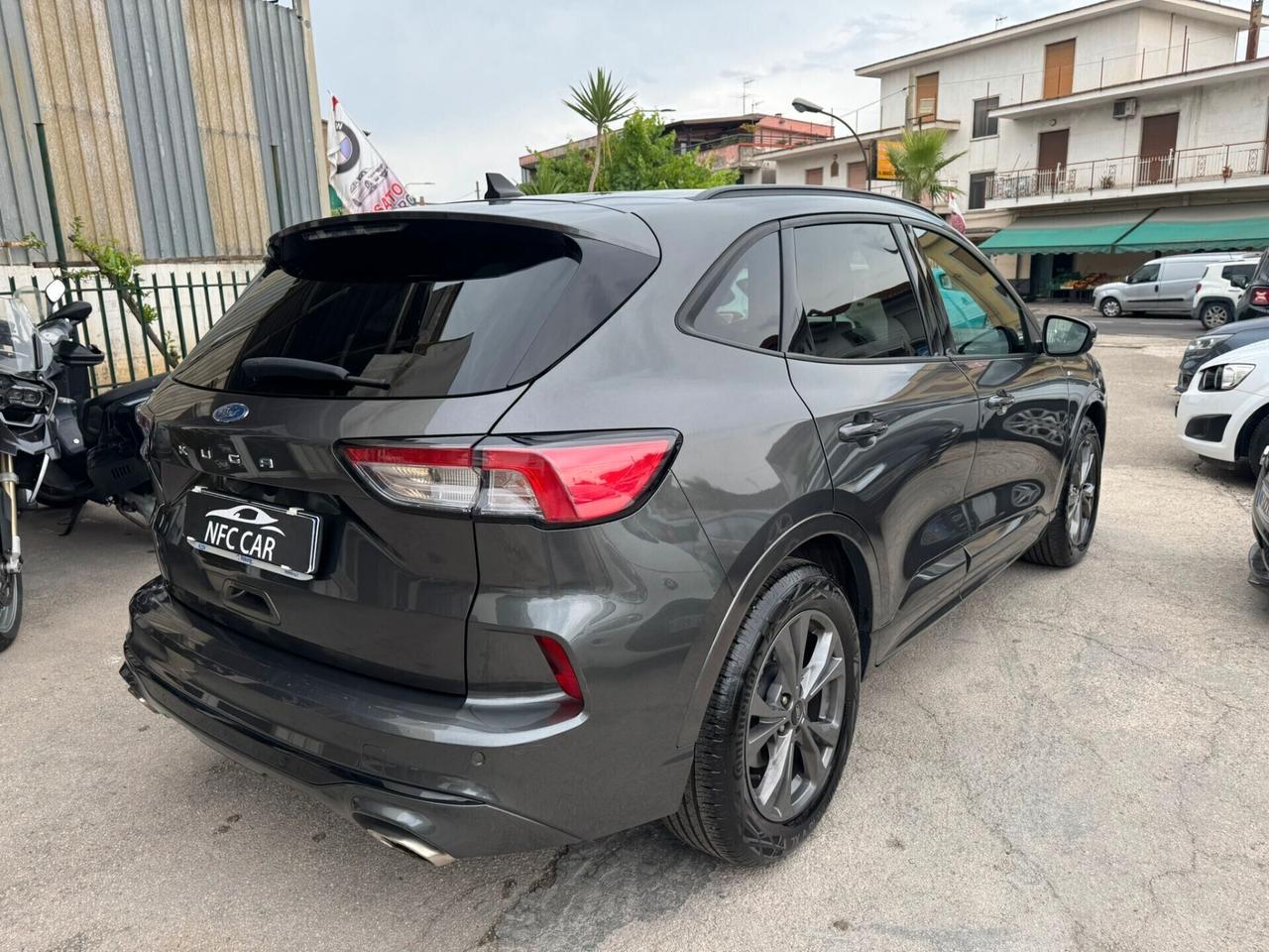 Ford Kuga 1.5 EcoBlue 120 CV aut. 2WD ST-Line