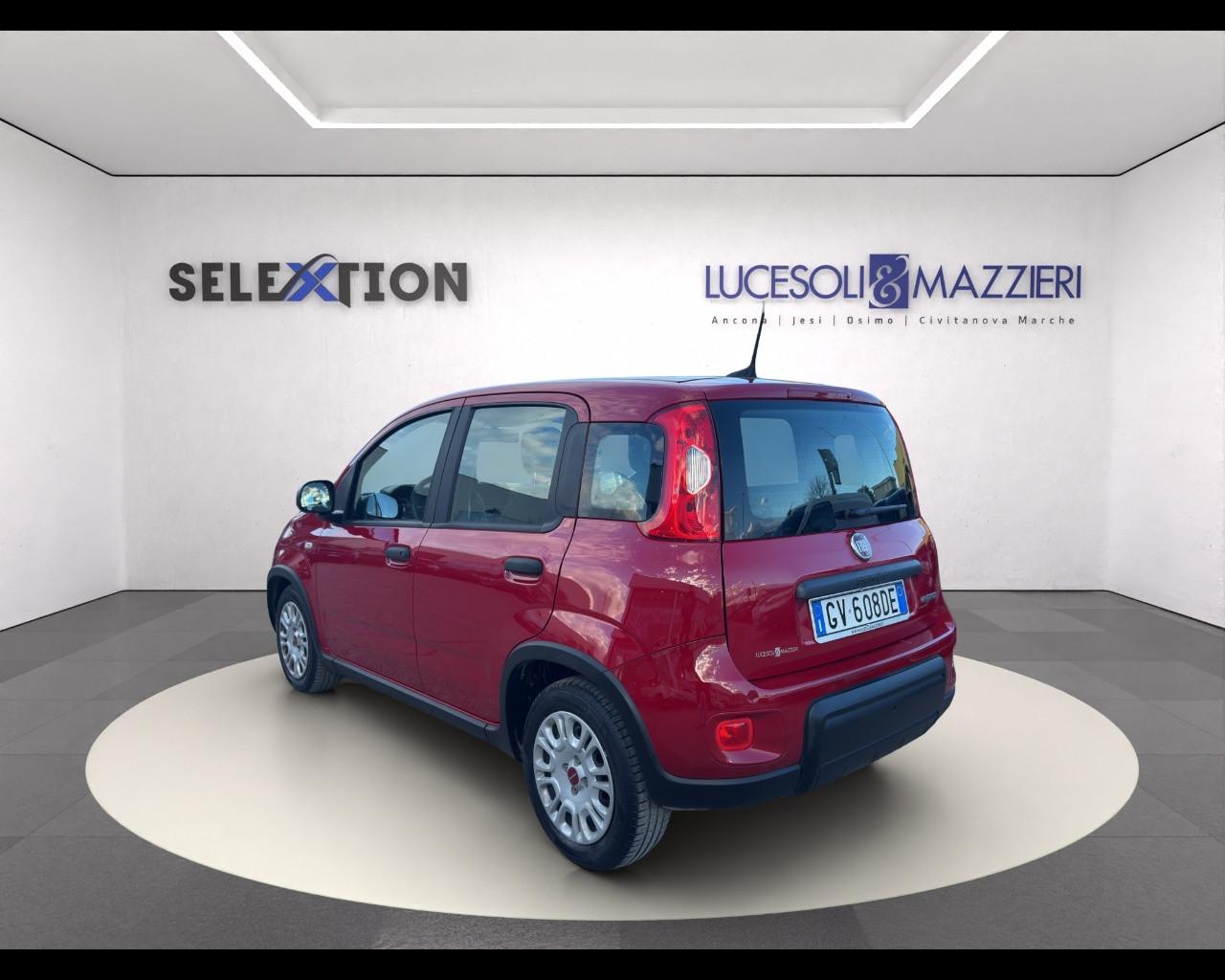 FIAT Panda My24 1.0 70cv Hybrid Panda