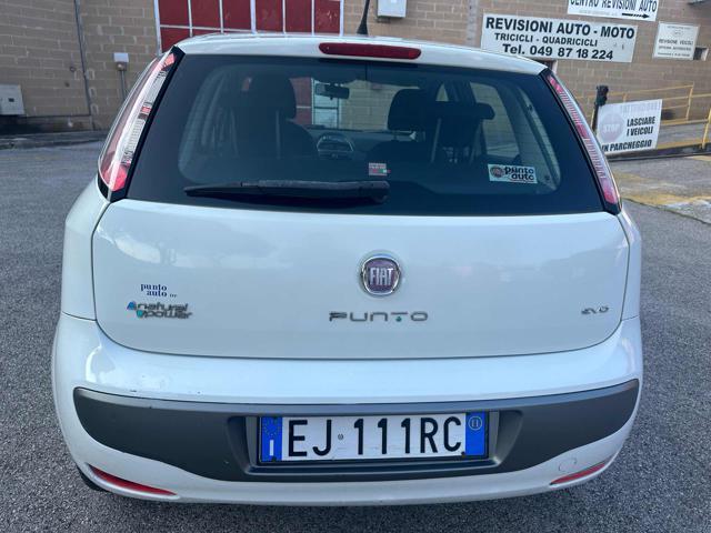 FIAT Punto Evo 1.4 5 porte Active Natural Power