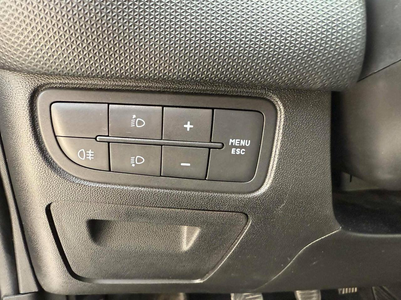Fiat Punto 1.3 MJT II 75 CV 5 porte Easy