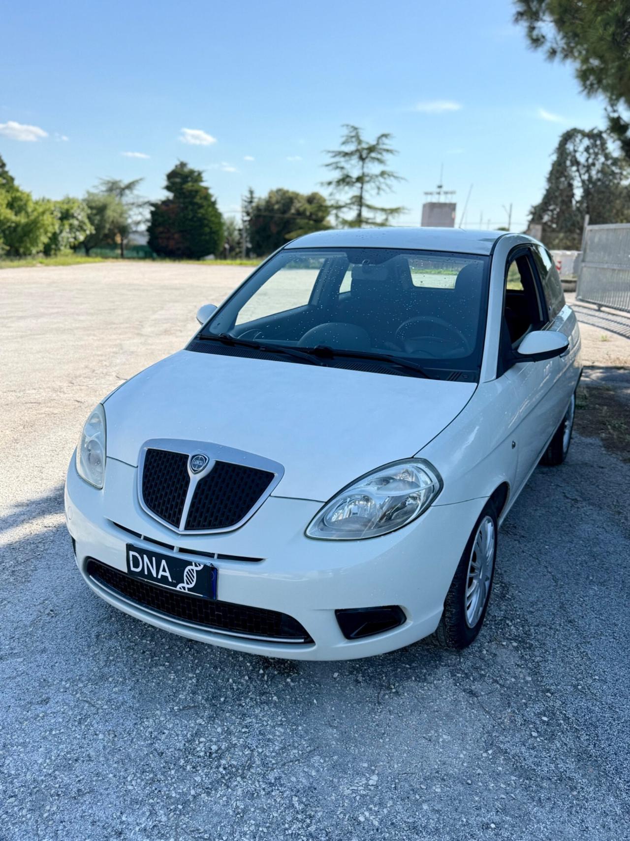 Lancia Ypsilon 1.2 Benzina 70milaKM Neopatentati