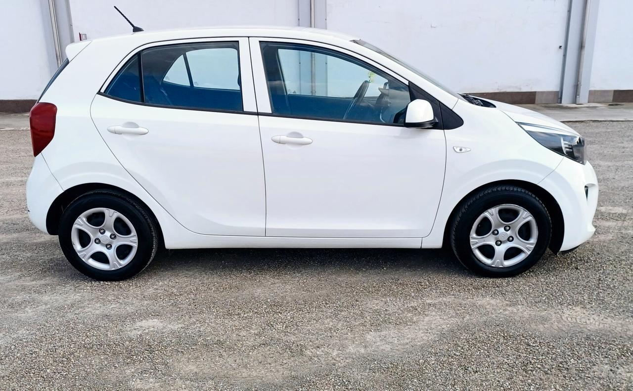 Kia Picanto 1.0 12V 5 porte GT Line