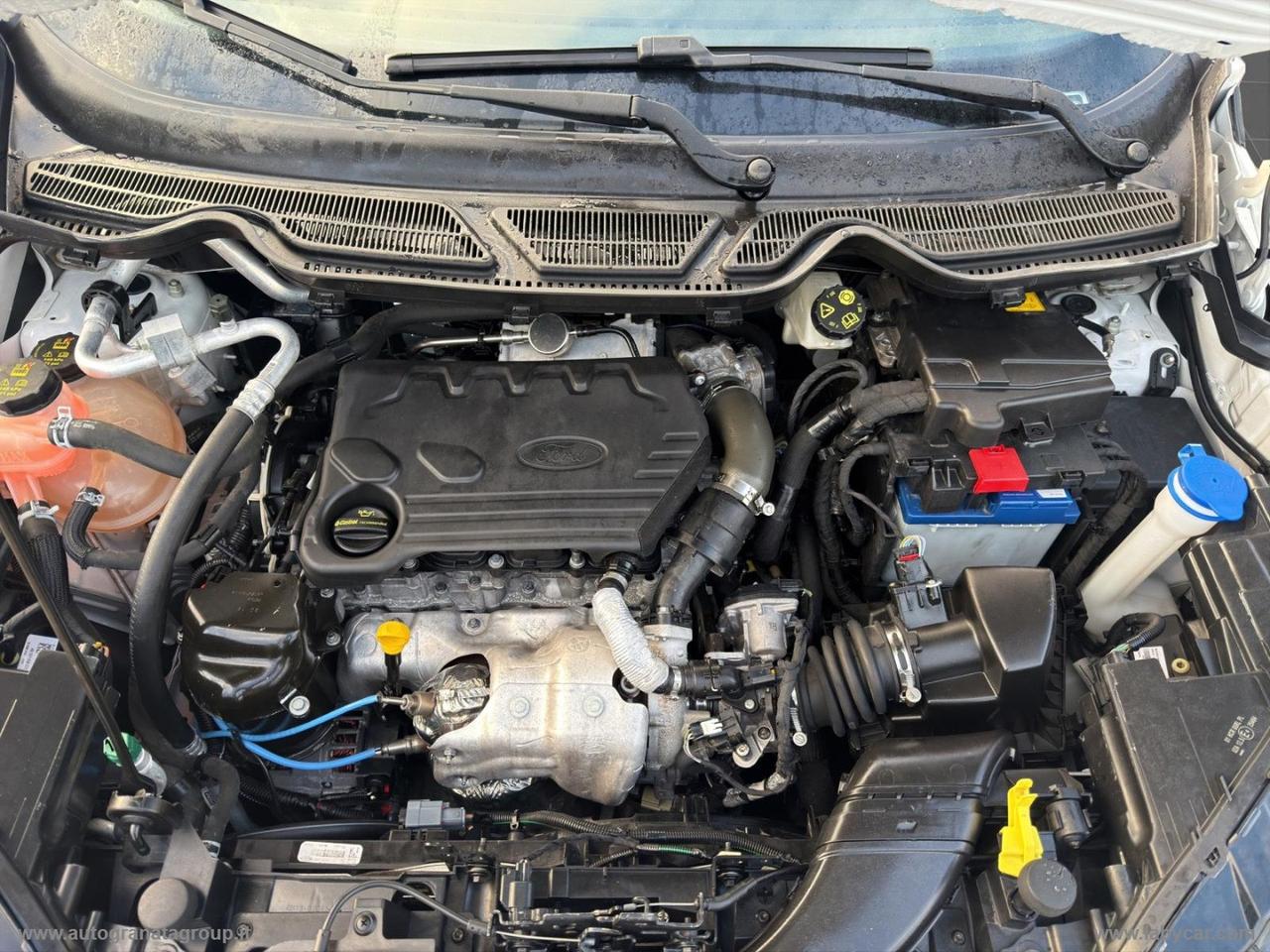 FORD EcoSport 1.5 TDCi 100 CV S&S Business PERFETTA!