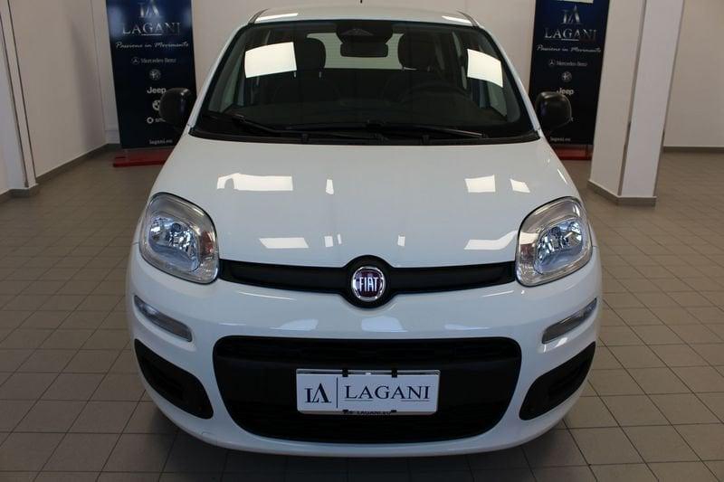 FIAT Panda Panda 1.0 FireFly S&S Hybrid Icon