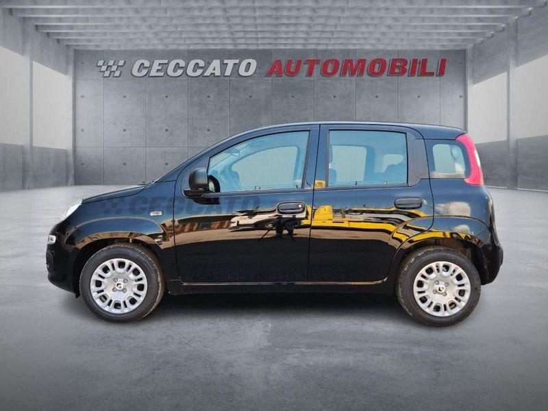 FIAT Panda Panda 1.0 firefly hybrid s&s 70cv 5p.ti
