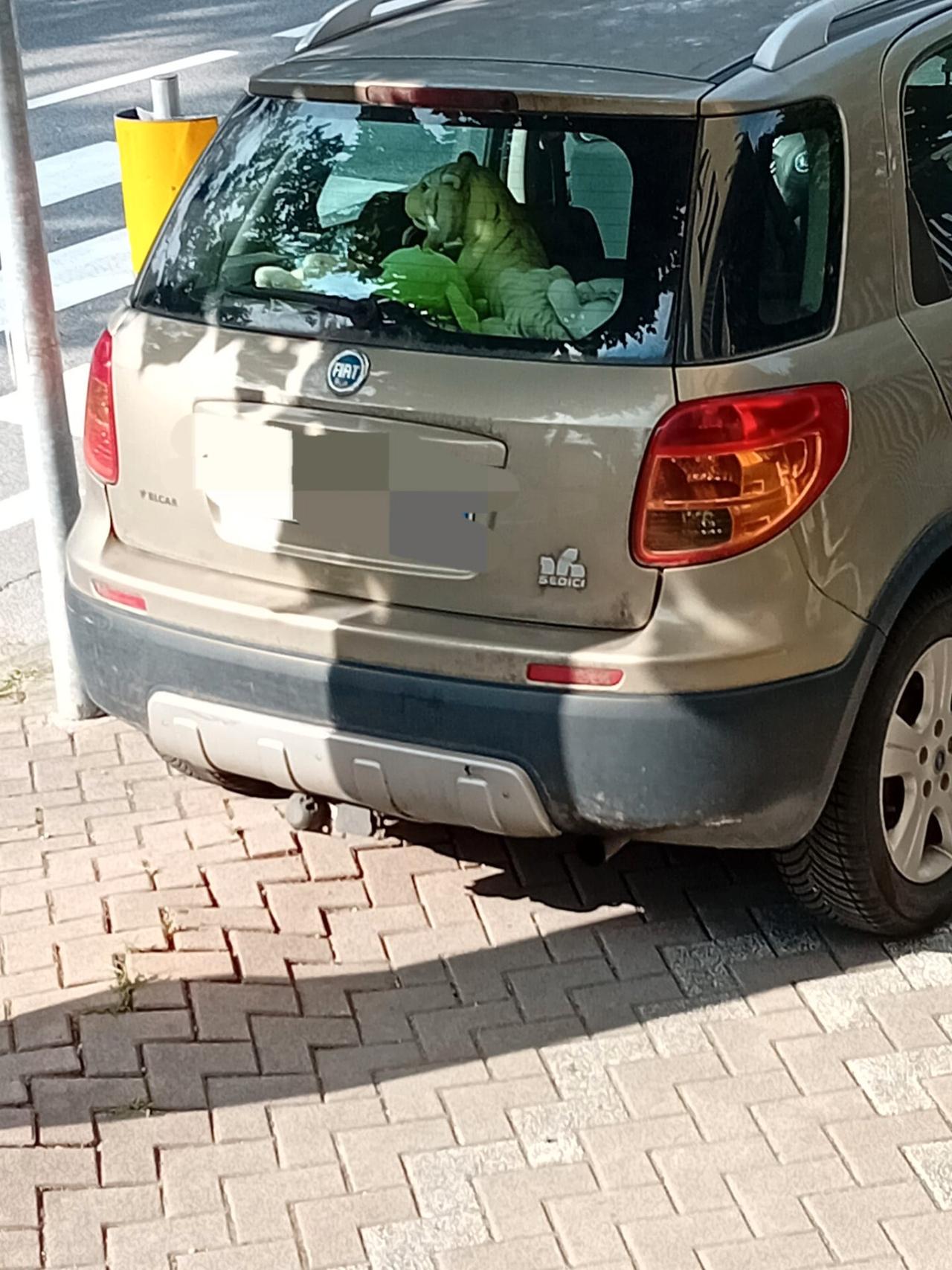 Fiat Sedici 1.9 MJT 4x4 Experience