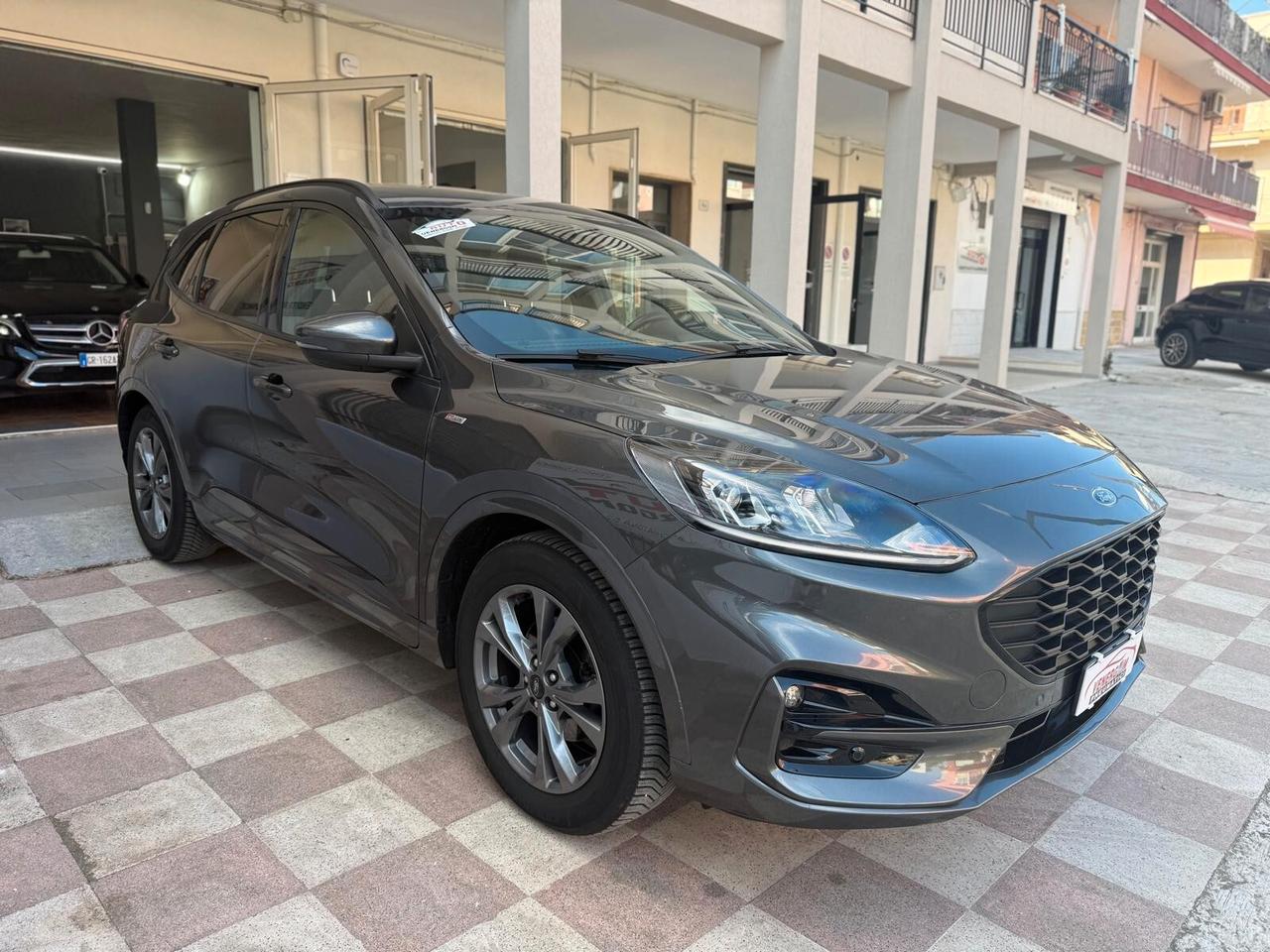 Ford Kuga 1.5 EcoBlue 120 CV 2WD ST-Line