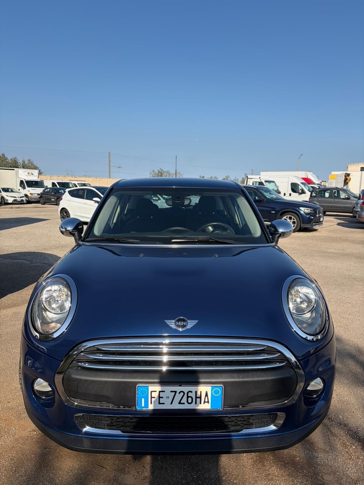 Mini 1.5 One D Hype