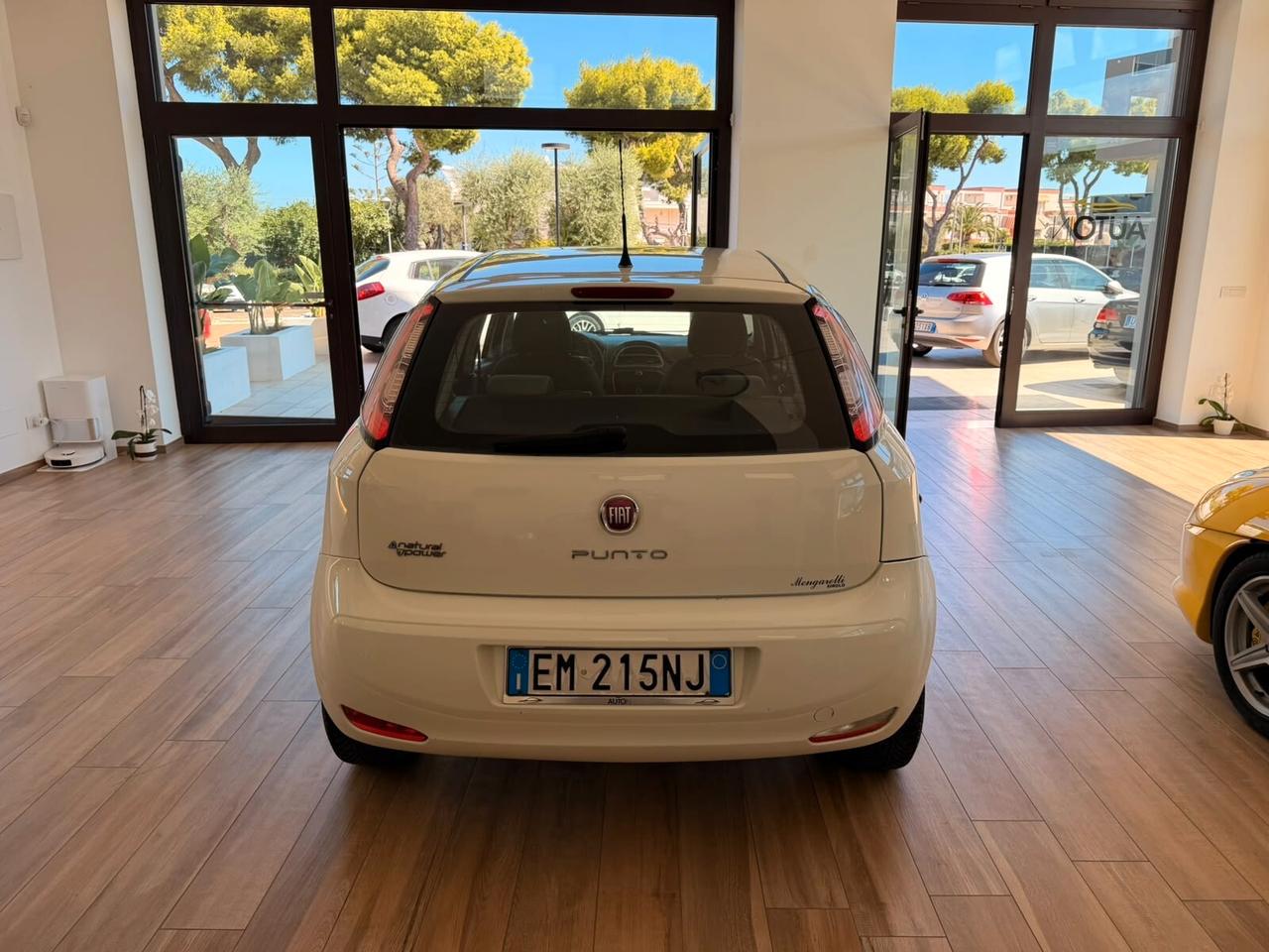 Fiat Punto 1.4 8V 5 porte Natural Power Pop