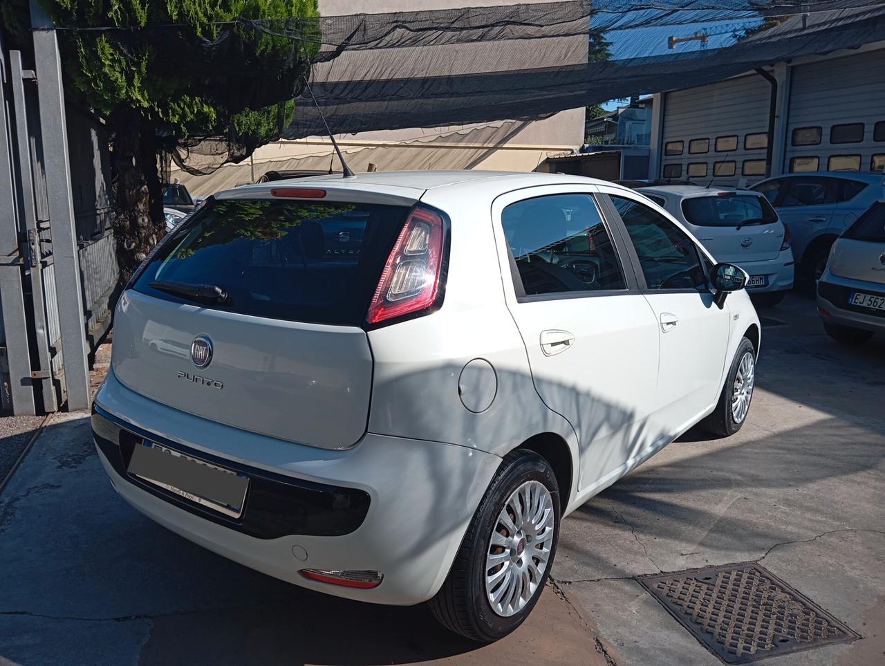 Fiat Punto Evo Punto Evo 1.2 5 porte PERMUTE